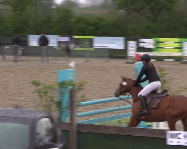 Reitturnier Langwedel - Hagen - Grinden 2019