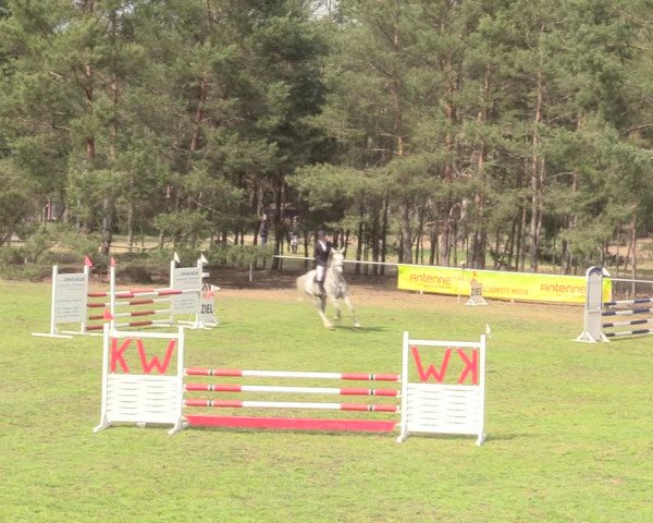 Reitturnier Altbarnim 2019