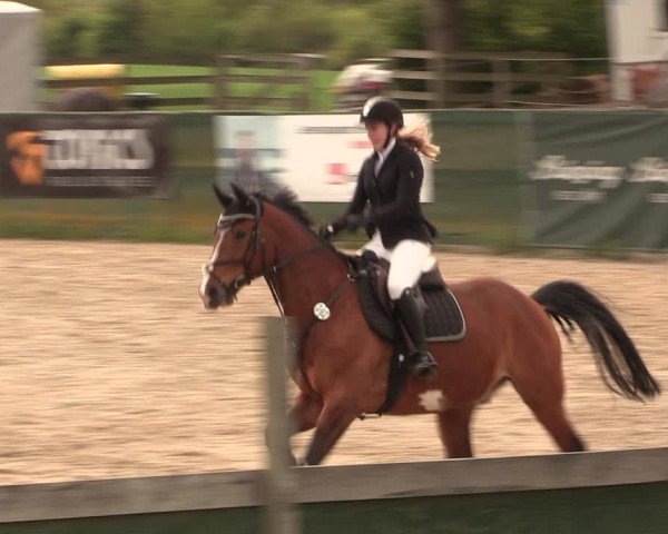 Reitturnier Langwedel - Hagen - Grinden 2019