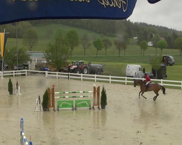Reitturnier Leutkirch-Diepoldshofen 2019