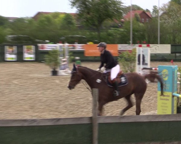 Reitturnier Langwedel - Hagen - Grinden 2019