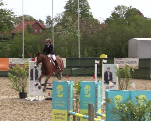 Reitturnier Langwedel - Hagen - Grinden 2019