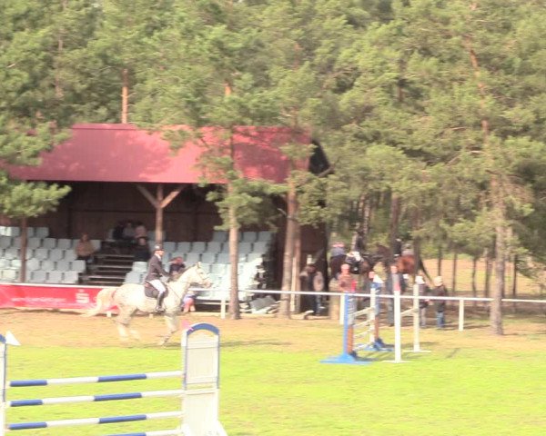 Reitturnier Altbarnim 2019