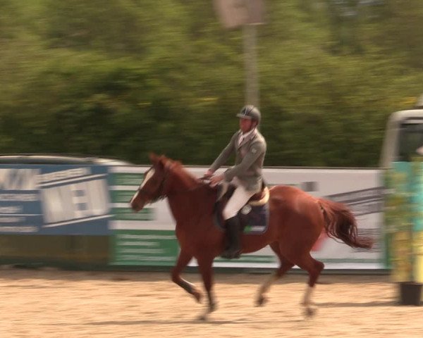 Reitturnier Langwedel - Hagen - Grinden 2019