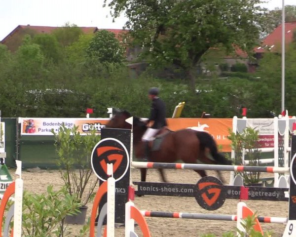 Reitturnier Langwedel - Hagen - Grinden 2019