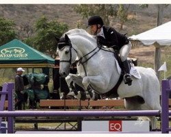 stallion Salvatore (KWPN (Royal Dutch Sporthorse), 1999, from Cavalier)