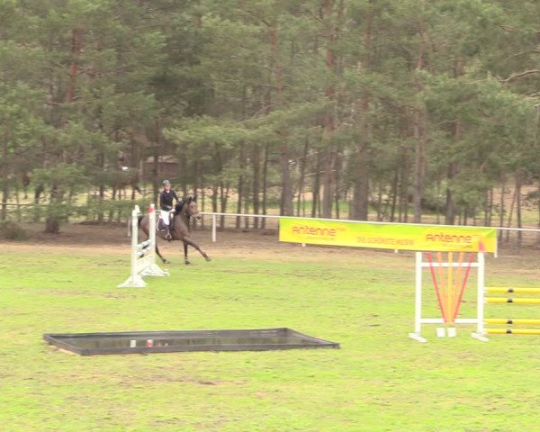 Reitturnier Altbarnim 2019