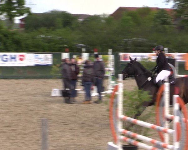 Reitturnier Langwedel - Hagen - Grinden 2019