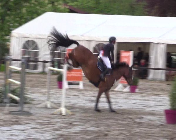 Reitturnier Havixbeck 2019