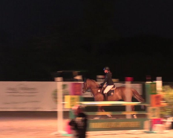 Reitturnier Langwedel - Hagen - Grinden 2019