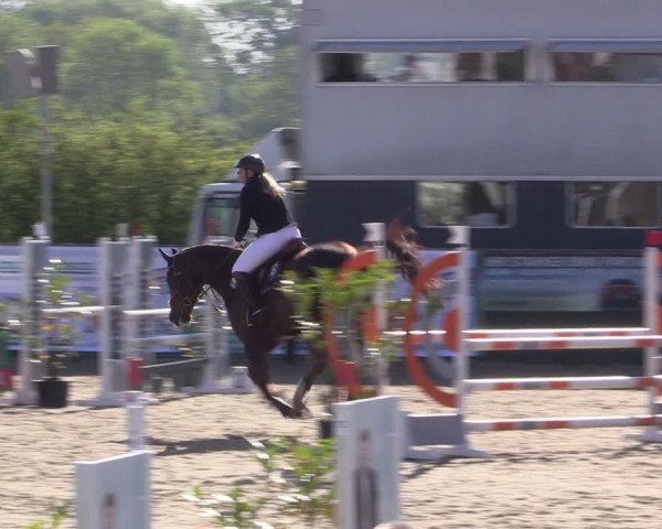 Reitturnier Langwedel - Hagen - Grinden 2019