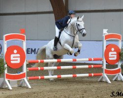 jumper Calido 51 (Hanoverian, 2000, from Calido I)