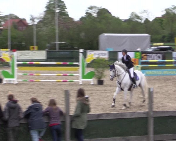 Reitturnier Langwedel - Hagen - Grinden 2019