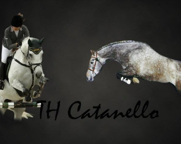 horse TH Catanello (Bavarian, 2001, from Camposanto)