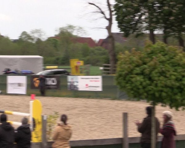 Reitturnier Langwedel - Hagen - Grinden 2019