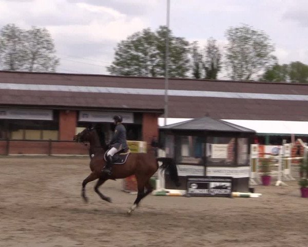 Reitturnier Havixbeck 2019