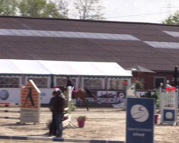 Reitturnier Havixbeck 2019
