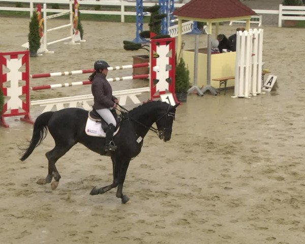 Reitturnier Leutkirch-Diepoldshofen 2019