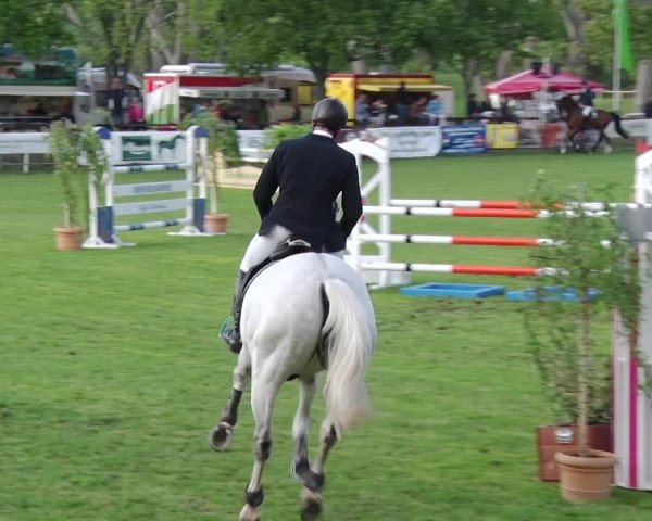 Reitturnier Greppin 2019