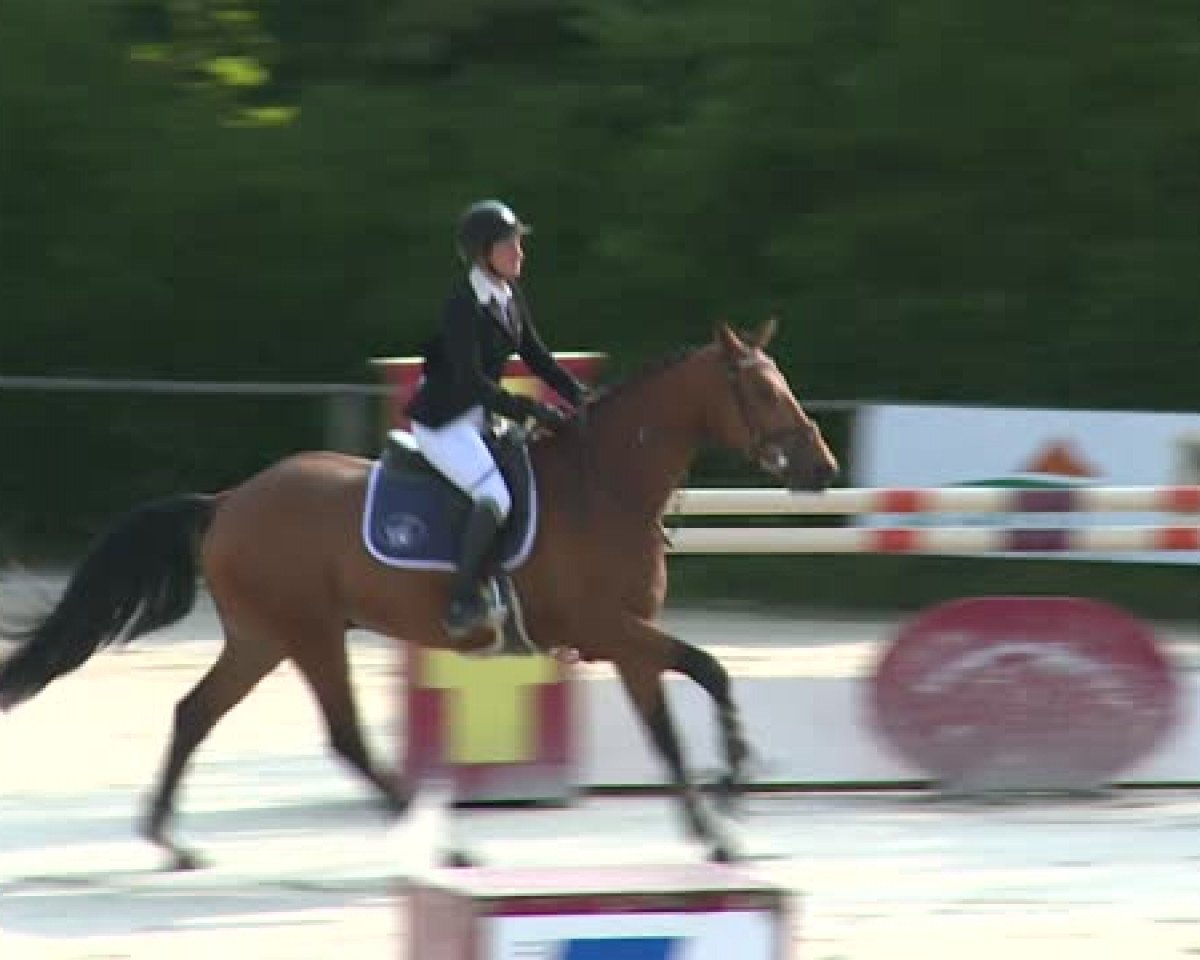 jumper Aidy des Forets (Selle Français, 2010, from Orlando van de Heffinck)