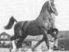 stallion Ureterp (KWPN (Royal Dutch Sporthorse), 1978, from Nova Zembla)