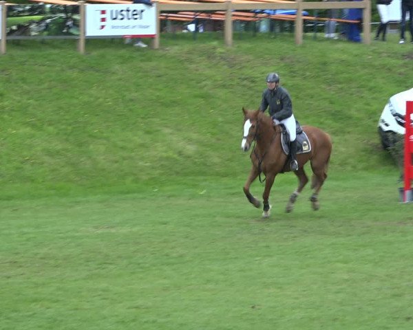 Reitturnier Uster 2019