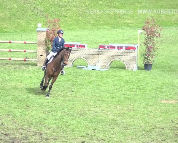 Reitturnier Uster 2019