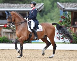 Dressurpferd Marakov (Lettisches Warmblut, 2000, von Rufs)