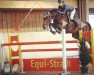 jumper Celectina (Hanoverian, 2002, from Contendro I)