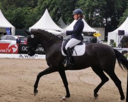 dressage horse Ebony 122 (Oldenburg, 2017, from Devonport)