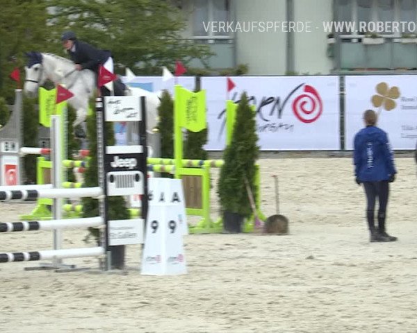 Reitturnier Horn 2019