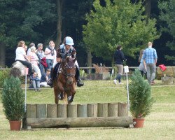 dressage horse Diana 719 (German Riding Pony, 1991, from Dschingis-Khan)