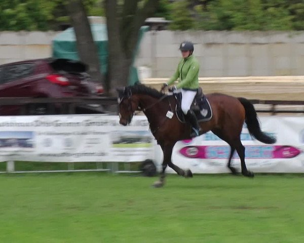 Reitturnier Greppin 2019