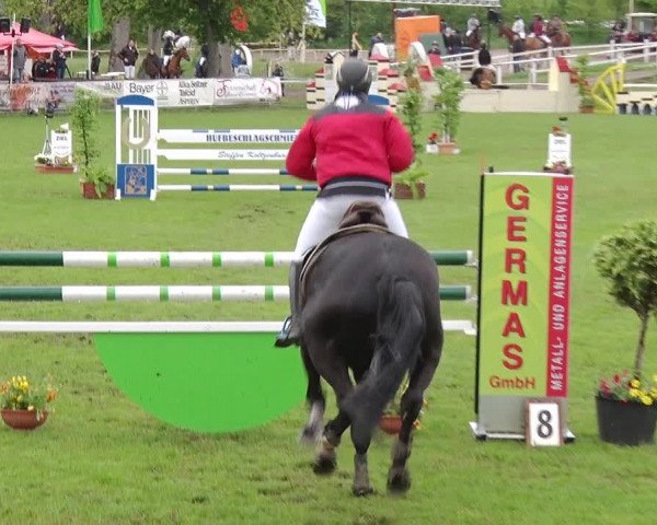 Reitturnier Greppin 2019