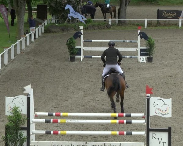 Reitturnier Eppelheim 2019