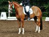 dressage horse Richters Rendezvous (German Riding Pony, 2012, from Famos)