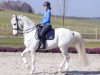 dressage horse Rustique (Danish Warmblood, 2002, from Heslegård's Rubin)