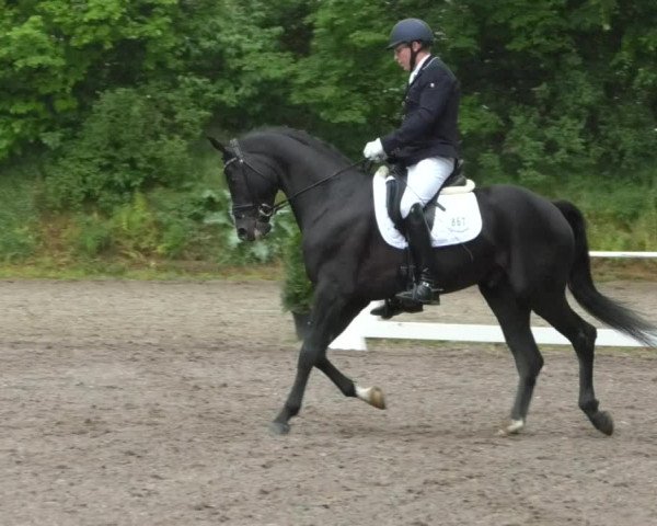 Reitturnier Eppelheim 2019