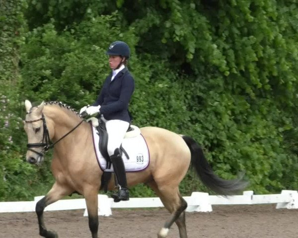 Reitturnier Eppelheim 2019