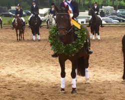 dressage horse Sun Patriano MP (German Riding Pony, 2001, from Seiron)