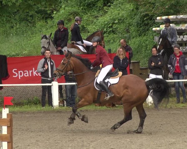 Reitturnier Eppelheim 2019