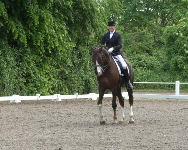 Reitturnier Eppelheim 2019