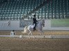 dressage horse Painted Girl 4 (unknown, 2008, from Figaro af Hallundbaek)