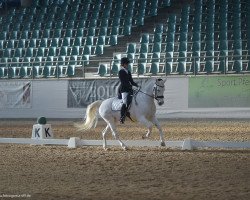 dressage horse Painted Girl 4 (unknown, 2008, from Figaro af Hallundbaek)