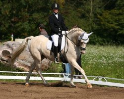 Pferd Kir Royal 89 (Deutsches Reitpony, 2002, von Top King)