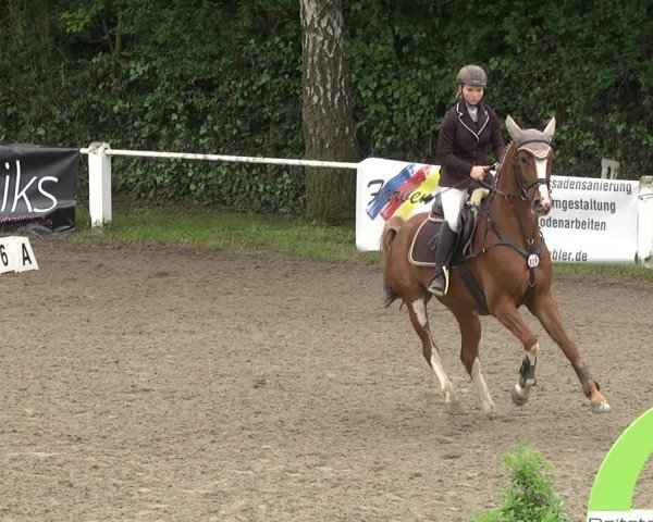 Reitturnier Eppelheim 2019