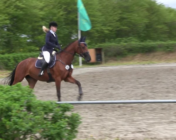Reitturnier Risum-Lindholm 2019