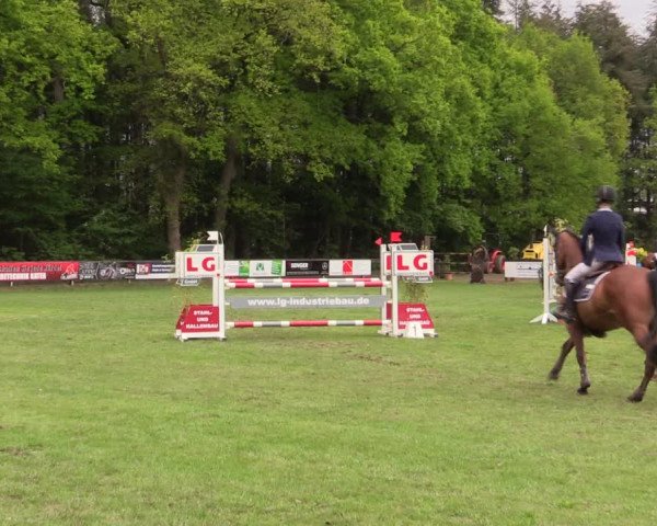 Reitturnier Meppen 2019