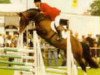 stallion Big Time (KWPN (Royal Dutch Sporthorse), 1989, from Bonheur)