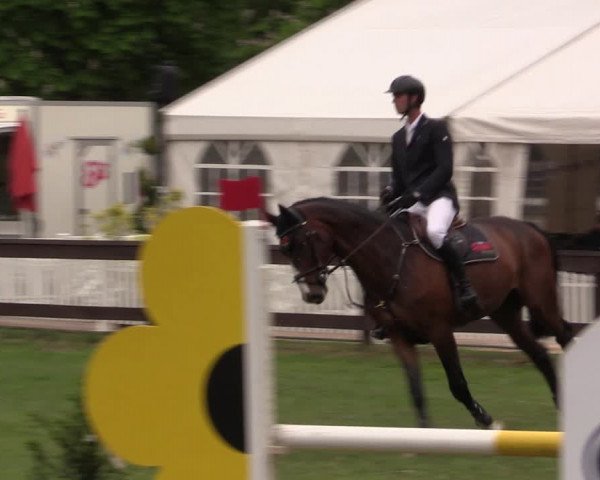 Reitturnier Meppen 2019